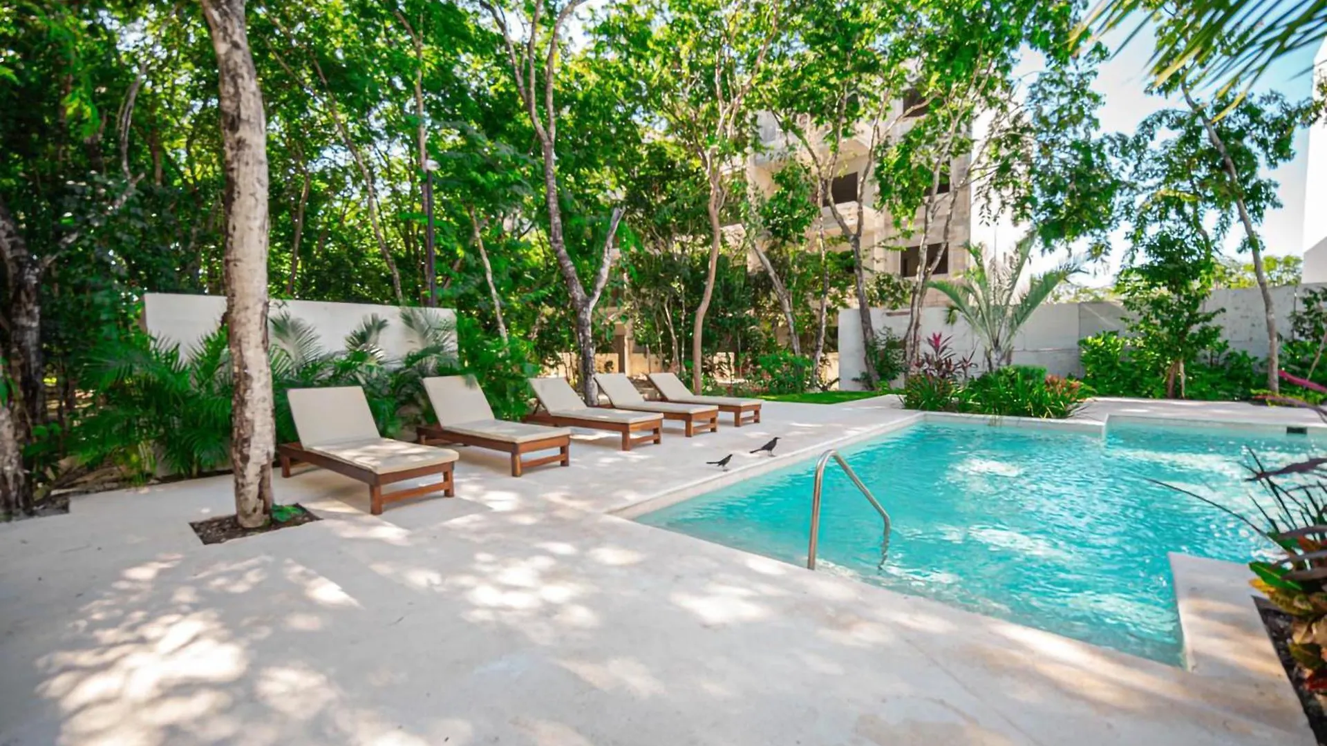 Perla House - 3 Bedrooms Playa del Carmen Mexico